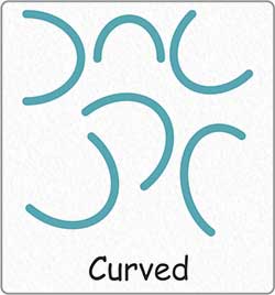 What are the 7 Elements of Art in One Drawing?, The 7 Elements of Art are Line, Shape, Form, Space, Texture, Value and Colour, 7 Elements of Design in Art, 7 Art Elements Definitions, About Art Elements, More About the 7 Elements of Art, The 7 Elements of Art - Curved Line
