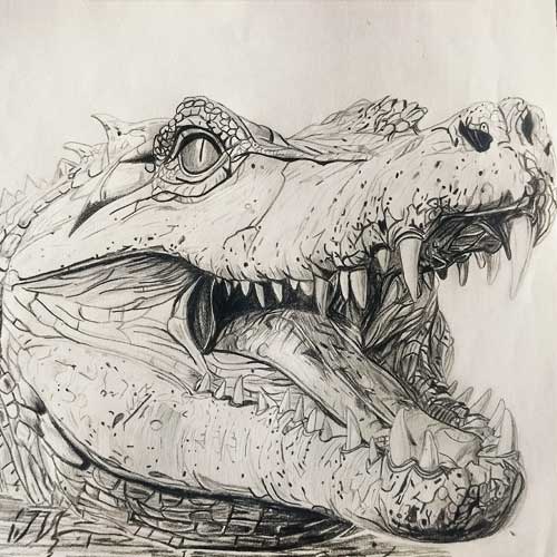 Artist & Participant Shubham Mishra from Maharashtra, All India Art Competition, All India Painting Competition, All India Craft Competition, Online Competition - Creative Culture, Online Drawing Competition, Online Painting Competition, Online Craft Competition, Online Photography Competition, Organised by Himanshu Art Institute, Nav Shri Art & Culture Organisation