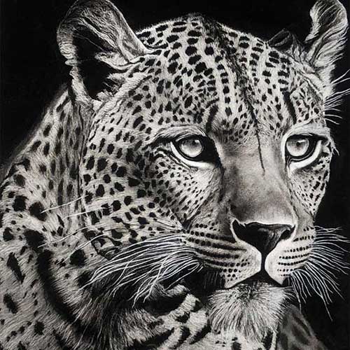 Artist & Participant Aadhya Kesarwani from Uttar Pradesh, All India Art Competition, All India Painting Competition, All India Craft Competition, Online Competition - Creative Culture, Online Drawing Competition, Online Painting Competition, Online Craft Competition, Online Photography Competition, Organised by Himanshu Art Institute, Nav Shri Art & Culture Organisation