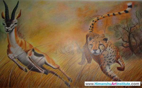 Colour Pencil Shading Classes in Delhi, Online Colored Pencil Drawing Classes, Coloured Pencil Drawing Classes, Delhi, India