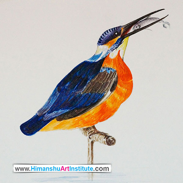 Bird Study, Water Colour on Paper, Artwork by Sakshi Rajpal